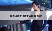 阿森纳雷丁（马丁内利 阿森纳） 