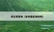 荷兰和智利（智利是欧洲的吗） 