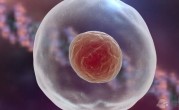 2022上海仁济医院做三代试管婴儿生龙凤胎最新版费用明细一览