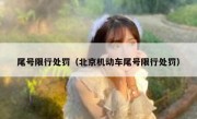 尾号限行处罚（北京机动车尾号限行处罚） 