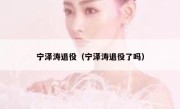 宁泽涛退役（宁泽涛退役了吗） 