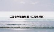辽足告别职业联赛（辽足俱乐部） 