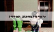 车限号查询（天津外地车限号查询） 