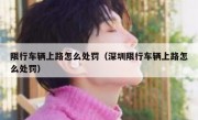 限行车辆上路怎么处罚（深圳限行车辆上路怎么处罚） 