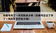车限号开了一天罚款多少啊（车限号忘记了开了一天的车会罚多少钱）
