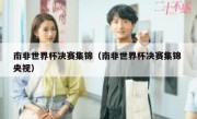 南非世界杯决赛集锦（南非世界杯决赛集锦 央视） 