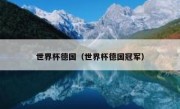 世界杯德国（世界杯德国冠军） 