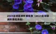 2019足球亚洲杯赛程表（2019足球亚洲杯赛程表格） 
