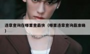 违章查询在哪里查最快（哪里违章查询最准确）