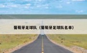 葡萄牙足球队（葡萄牙足球队名单） 