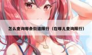 怎么查询哪条街道限行（在哪儿查询限行） 