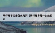 限行开车出来怎么处罚（限行开车是什么处罚?） 