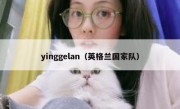 yinggelan（英格兰国家队） 