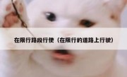 在限行路段行使（在限行的道路上行驶） 
