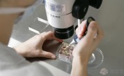2022河北医科大学第四医院做试管供卵生男孩费用全面解读
