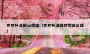 世界杯法国vs德国（世界杯法国对德国足球） 