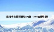 绝地求生最新辅助qq群（pubg辅助群） 