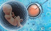 深圳第三代试管包生男孩多少费用？