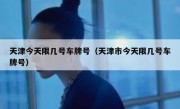 天津今天限几号车牌号（天津市今天限几号车牌号） 