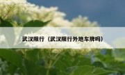 武汉限行（武汉限行外地车牌吗） 