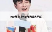 csgo辅助（csgo辅助完美平台） 