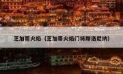 芝加哥火焰（芝加哥火焰门将斯洛尼纳） 