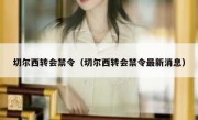 切尔西转会禁令（切尔西转会禁令最新消息） 