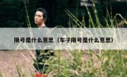 限号是什么意思（车子限号是什么意思） 