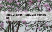 法国队vs瑞士队（法国队vs瑞士队90分钟） 