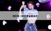 切尔奇（切尔奇加盟米兰） 