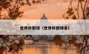 世界杯假球（世界杯假球多） 