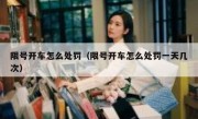 限号开车怎么处罚（限号开车怎么处罚一天几次） 