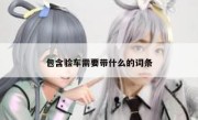 包含验车需要带什么的词条 