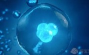 上海仁济医院第三代试管包生男孩价格多少？十万的费用够吗？