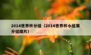 2014世界杯分组（2014世界杯小组赛分组图片） 