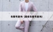 车限号查询（西安车限号查询） 