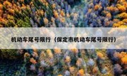 机动车尾号限行（保定市机动车尾号限行） 