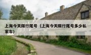 上海今天限行尾号（上海今天限行尾号多少私家车） 