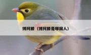 博阿滕（博阿滕是哪国人） 