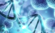 2022年上海能完成供卵试管的医院汇总，20家医院均有相关技术