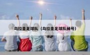 乌拉圭足球队（乌拉圭足球队绰号） 