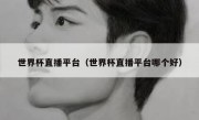 世界杯直播平台（世界杯直播平台哪个好） 
