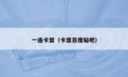 一连卡盟（卡盟百度贴吧） 