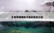 王者荣耀辅助卡盟的简单介绍 