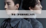 罗切（罗切斯特理工大学） 
