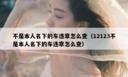 不是本人名下的车违章怎么查（12123不是本人名下的车违章怎么查） 