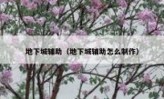 地下城辅助（地下城辅助怎么制作） 