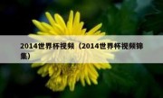 2014世界杯视频（2014世界杯视频锦集） 