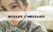 限行怎么处罚（广州限行怎么处罚） 