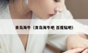 青岛海牛（青岛海牛吧 百度贴吧） 